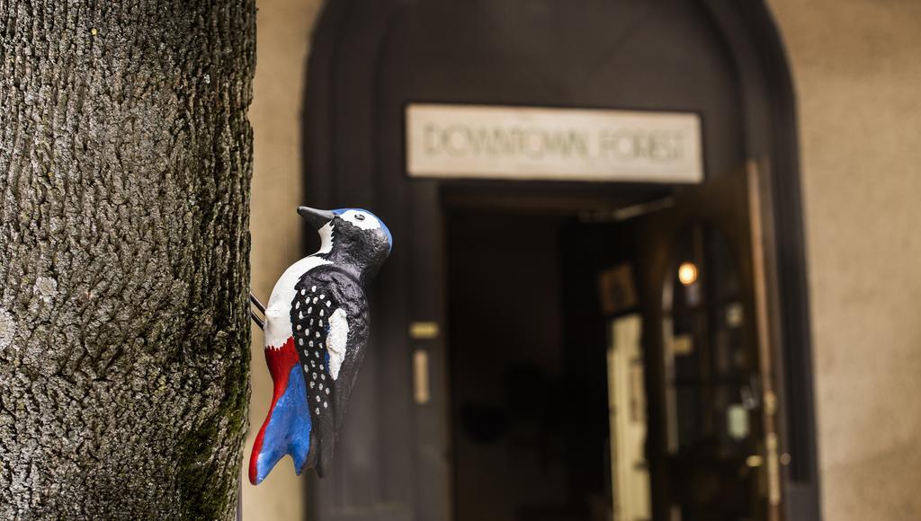 Downtown Forest Hostel & Camping VNO Esterno foto